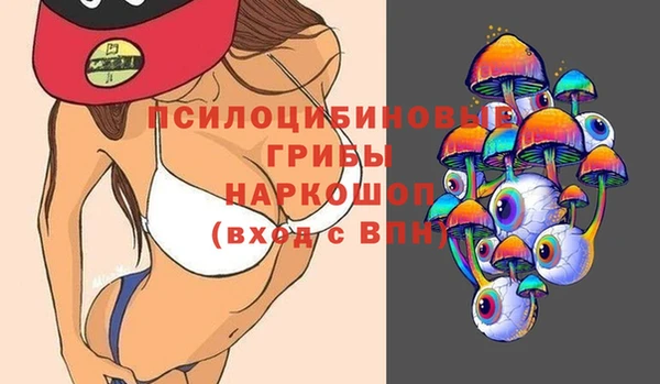 хмурый Верхний Тагил